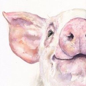 Meet your Posher, Corie lee